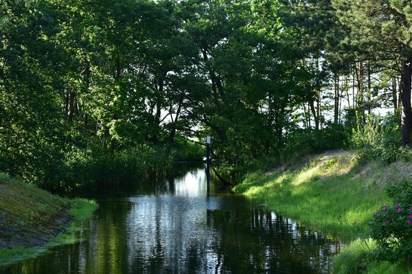 Innovations Révolutionnaires pour Combattre l'Obésité : Vers une Nouvelle Ère de Santé